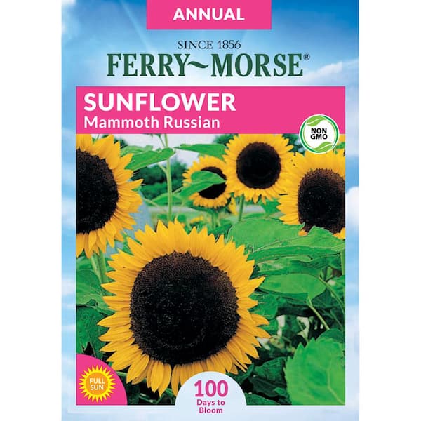 Ferry-Morse Sunflower Mammoth  Flower Seeds