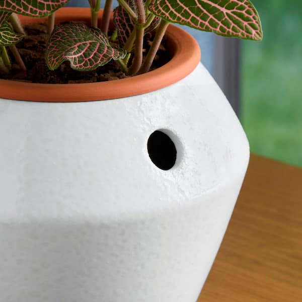 Vigoro Leilani Small White Indoor Ceramic Self-Watering Round