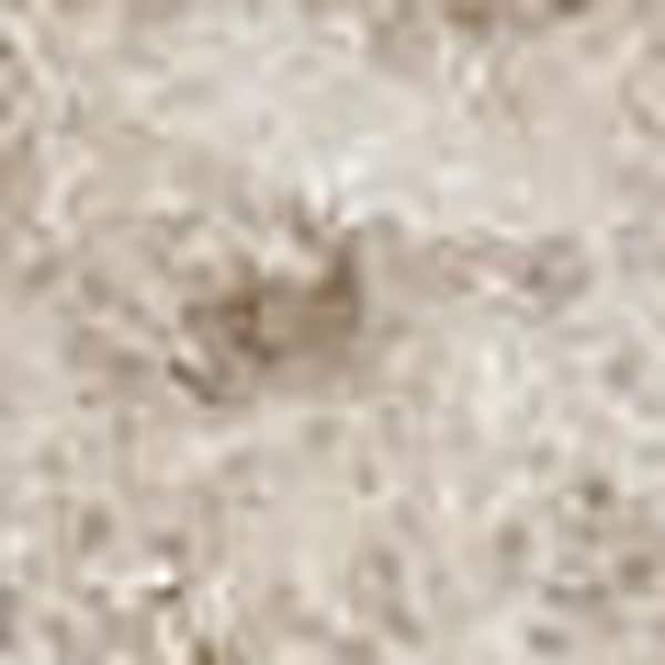 5 ft. x 7 ft. Beige and Ivory Moroccan Power Loom Area Rug