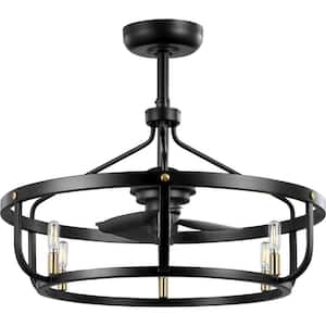 Copan 28.75 in. Indoor/Outdoor Industrial Black and Gold Cage Ceiling Fan with 2700K Bulbs Included and Remote Control