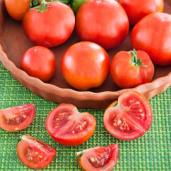 https://images.thdstatic.com/productImages/1e9b539b-8cbf-46ad-9197-7eadfe5bdd18/svn/bonnie-plants-tomatoes-0224-e1_600.jpg