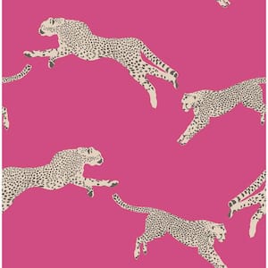 Pink Bubblegum Leaping Cheetah Peel and Stick Wallpaper Sample
