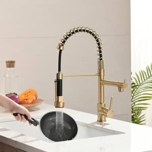 Single Handle Pull Down Sprayer Kitchen Faucet with Pot Filler in Brushed Gold