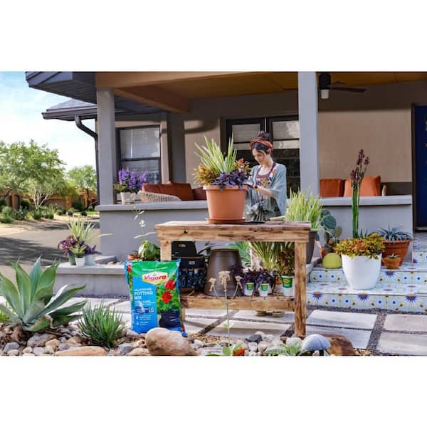 tiny air plants DIY Air Plant Terrarium Kit main image 0