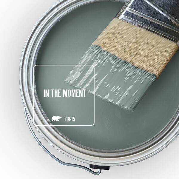 Behr Premium Plus 8 Oz T18 15 In The Moment Satin Enamel Interior Exterior Paint Primer Color Sample B370416 - Exterior Paint Color Samples Behr Premium Plus 8 Oz T18 15 In The Moment Satin Enamel Interior Exterior Paint Primer Color Sample B370416 - Exterior Paint Color Samples