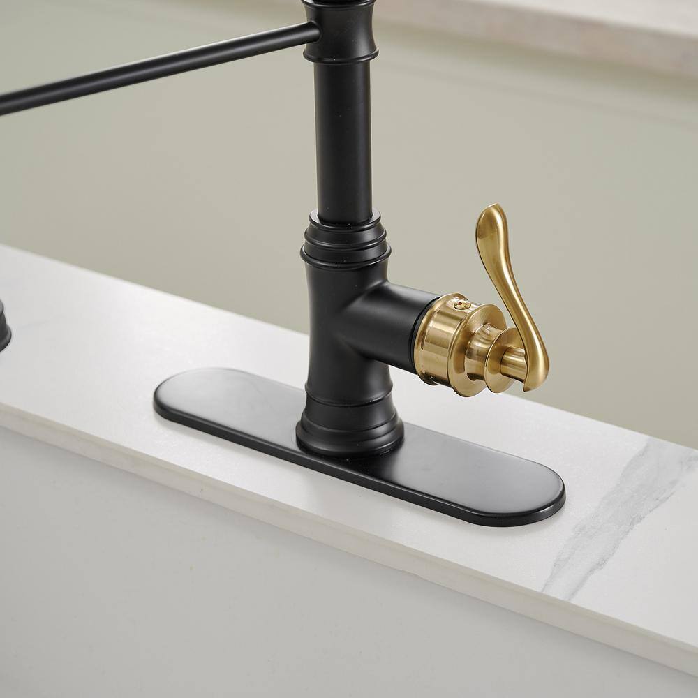 Matte Black and Gold High-Arc Kitchen Faucet with Pull-Out Spray