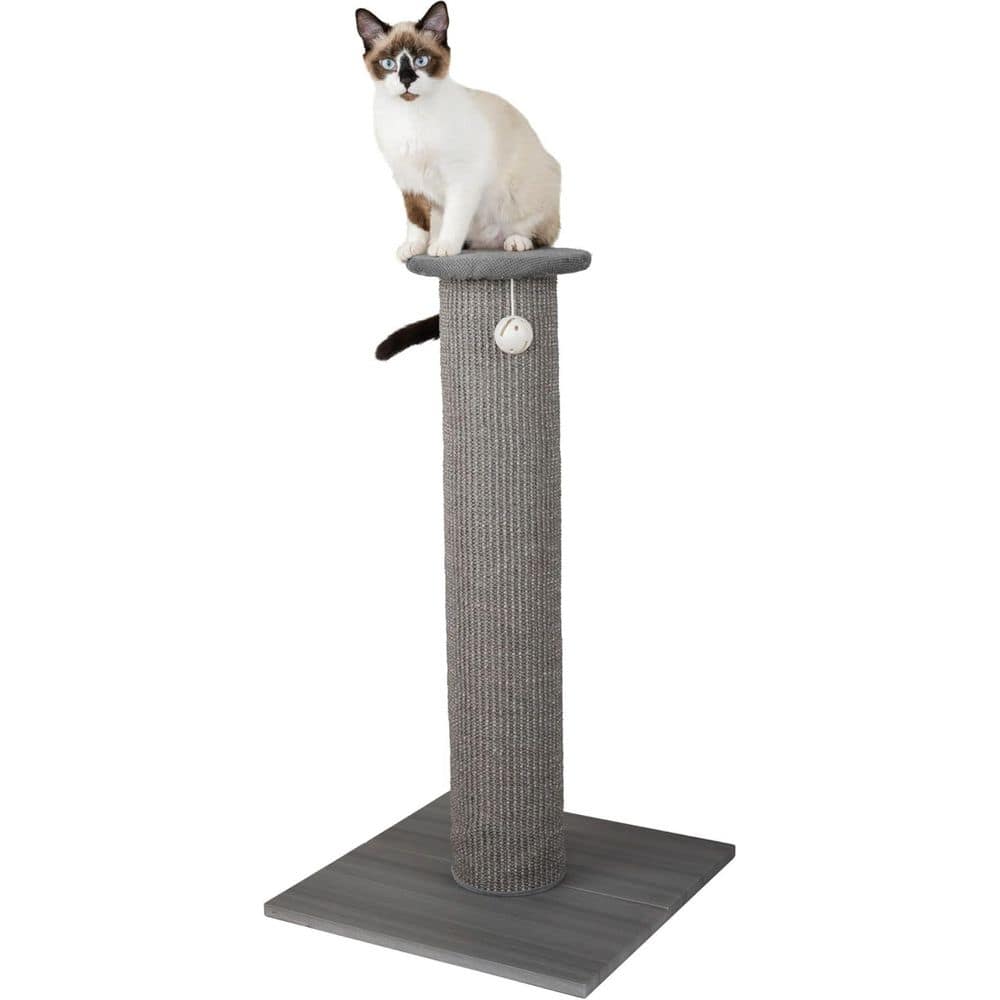 32 in. H Indoor Sisal Post Scratcher with Jingle Ball in Gray price history on PriceWatchPro