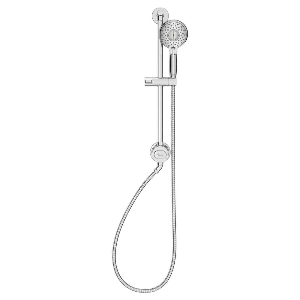 Spectra Chrome Adjustable Handheld Shower System with Filter