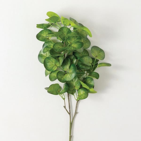 SULLIVANS Artificial 36 in. Green Ivory Leaf Spray