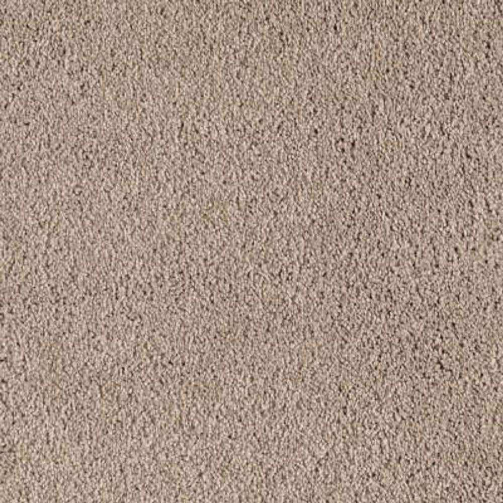 Lifeproof 8 in. x 8 in. Texture Carpet Sample - Ambrosina II -Color ...