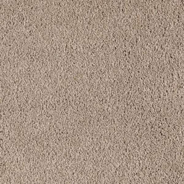 Lifeproof 8 in. x 8 in. Texture Carpet Sample - Ambrosina II -Color Fieldstone