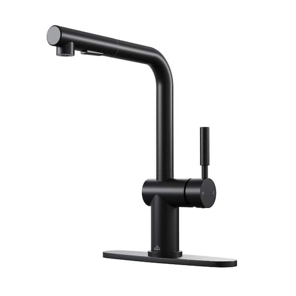 CASAINC Single Handle Pull Out Sprayer Kitchen Faucet Deckplate Included in Matte Black
