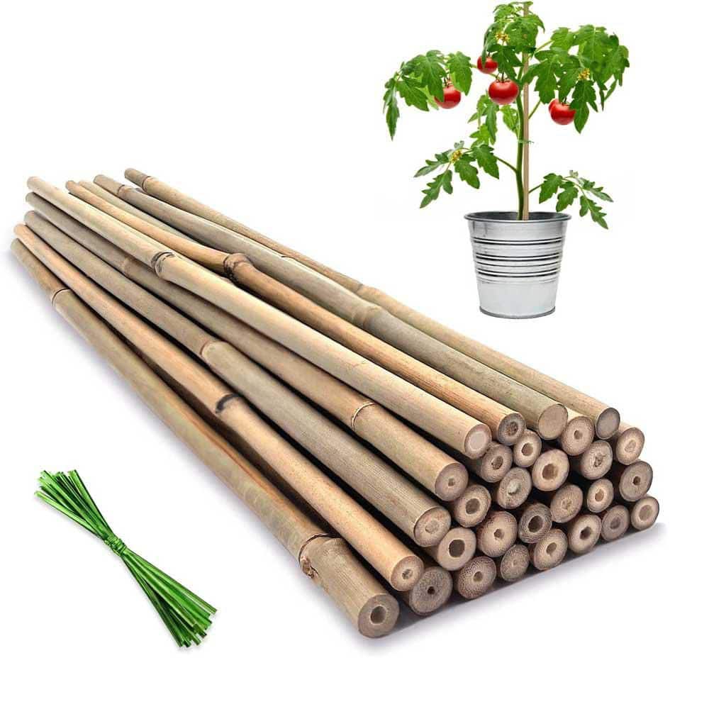 18 in. Natural Bamboo Plant Stakes for Tomatoes, Beans, Vegetables, and Potted Plants, 20-Pack price history on PriceWatchPro