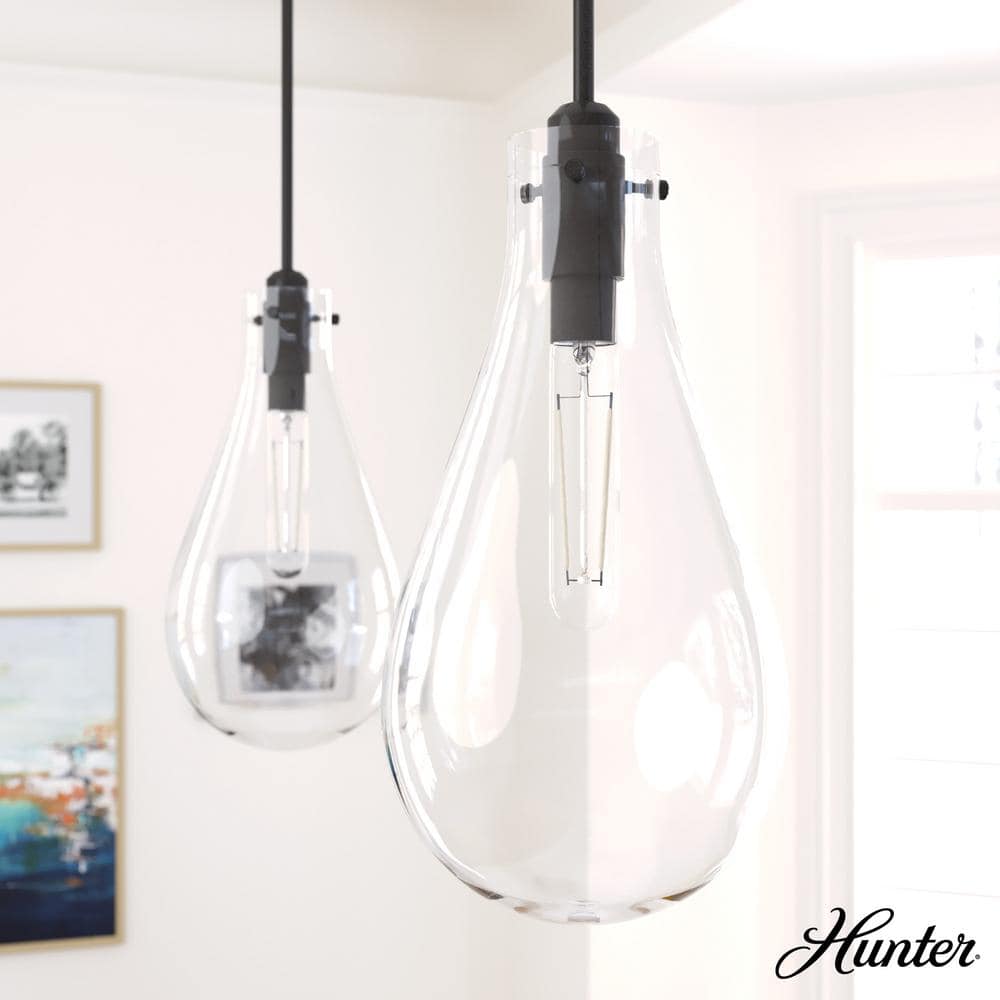 Lundin 1-Light Noble Bronze Bulb Pendant Light with Clear Glass Shade price history on PriceWatchPro