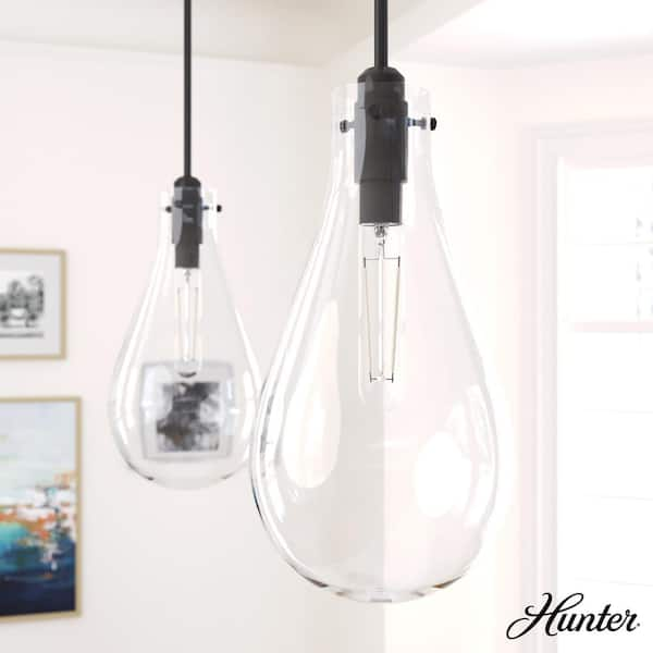 Hunter Lundin 1-Light Noble Bronze Bulb Pendant Light with Clear Glass Shade