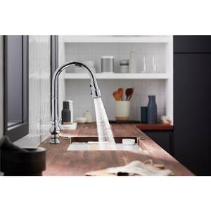 Artifacts Single-Handle Pull-Down Sprayer Kitchen Faucet in Polished Chrome