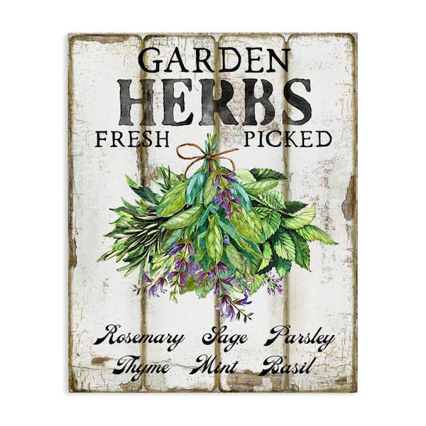 Stupell Industries Fresh Picked Garden Herbs by Creatif Belle Unframed Food Graphic Art Print 20 in. x 16 in.