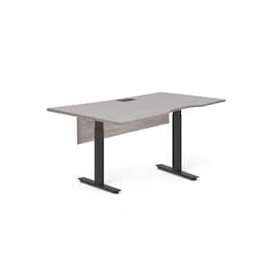 54 in. x 31.5 in. Gray Electric Height Adjustable Sit- Standing Desk with Privacy Panel