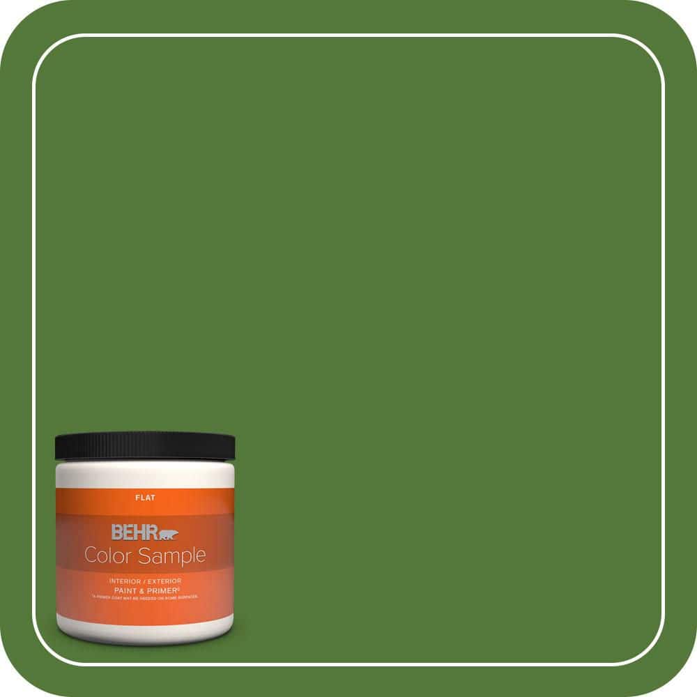 8 oz. #P380-7 Luck of the Irish Flat Interior/Exterior Paint & Primer Color Sample price history on PriceWatchPro
