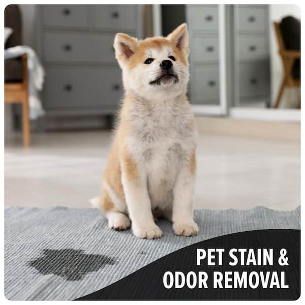 64 oz. Pet Carpet Cleaning Formula