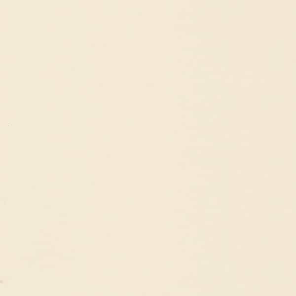 2 in. Solid Surface Countertop Sample in Cream