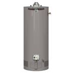 Rheem Performance Platinum 40 Gal. Short 12 Year 38,000 BTU Natural Gas ...