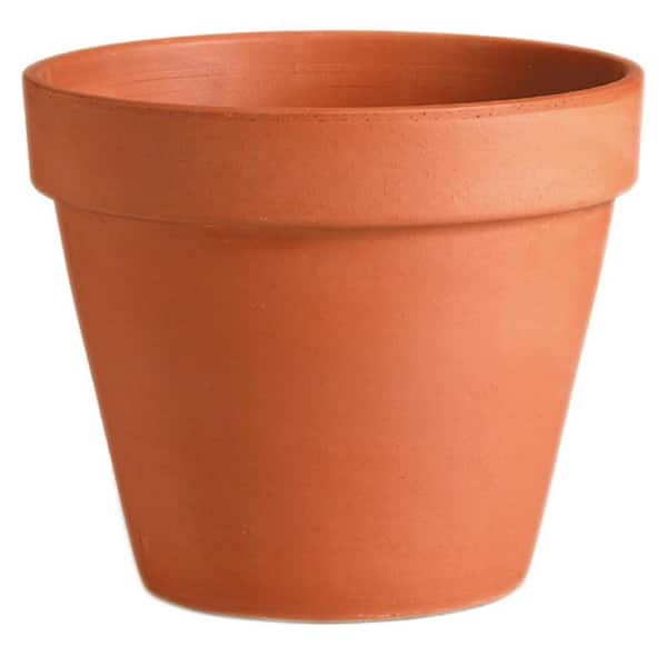 6IN CLAY STANDARD POT
