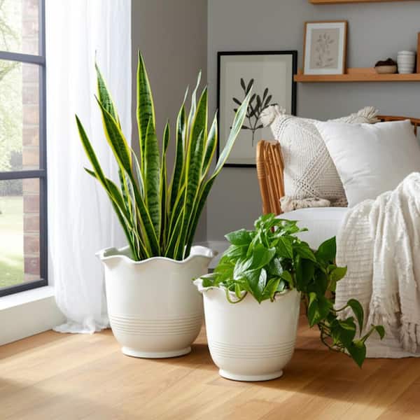 pot 2023,04-2024,03 まとめ売り Liv & Skye 6 in. and 8 in. Ivory Ceramic Arch Decorative Pots (Set
