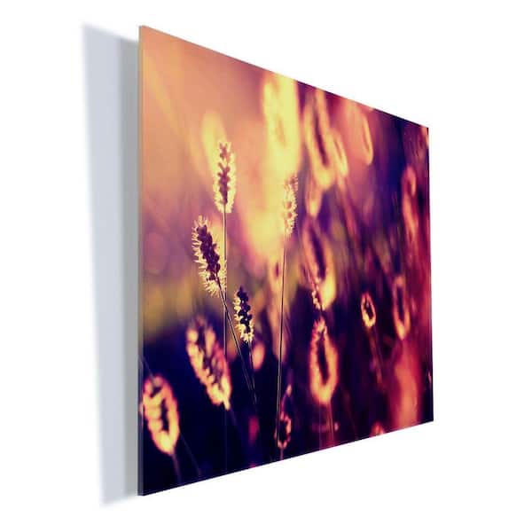 Trademark Fine Art 18 in. x 24 in. "Let them Shine" by Beata Czyzowska Young Printed Acrylic Wall Art