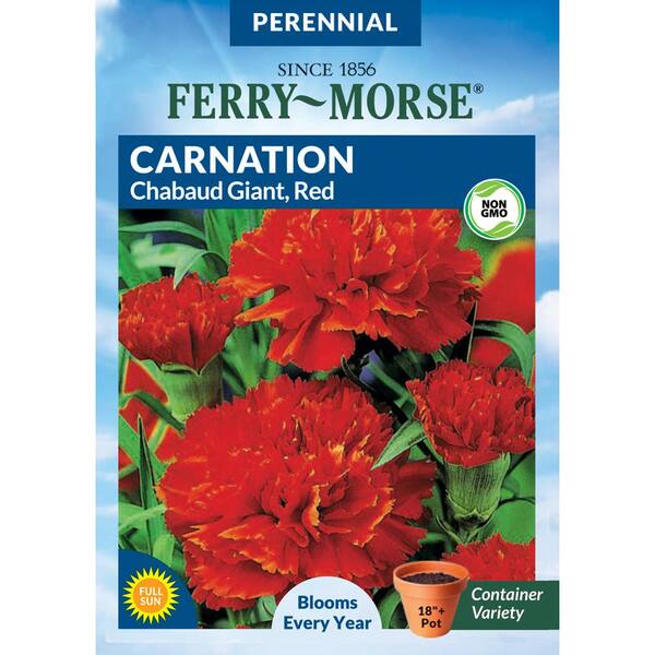 Ferry Morse Carnation Chabaud Giant Red Seed 4172