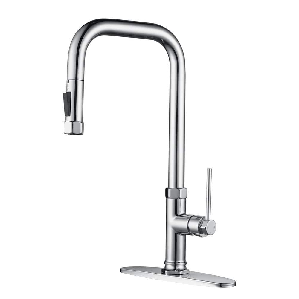 Single Handle Pull Down Sprayer Kitchen Faucet in Polished Chrome with Deck Plate -  WOWOW, 2317300C