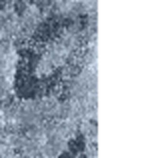 10 X 13 Blue, Ivory Oriental Runner Rug