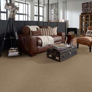 Coral Reef I - Desert Earth - Brown 65.5 oz. Nylon Texture Installed Carpet