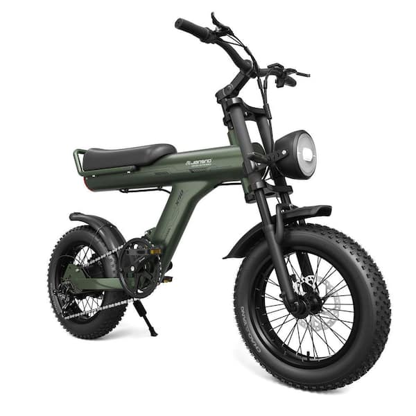 16 in. Fat Tires 750-Watt 48-Volt 14A Battery 5-Speed Mountain Electric  Bicycle GM-LH-157 - The Home Depot