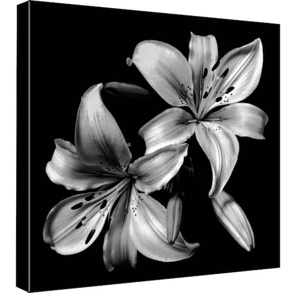 PTM Images 15 in. x 15 in. ''Bloom'' Printed Canvas Wall Art
