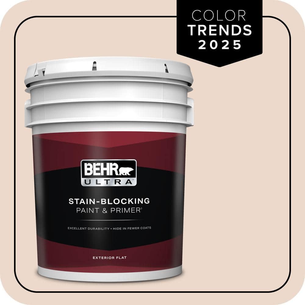 5 gal. #S210-1 Nutmeg Frost Flat Exterior Paint & Primer price history on PriceWatchPro