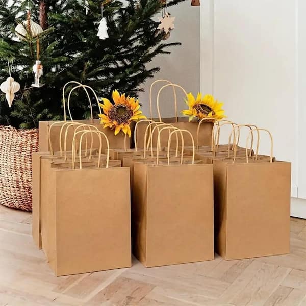 Wellco 10.2 in. x 4.7 in. x 12.2 in. Kraft Paper Bag with handle 100 Count PB261231P100