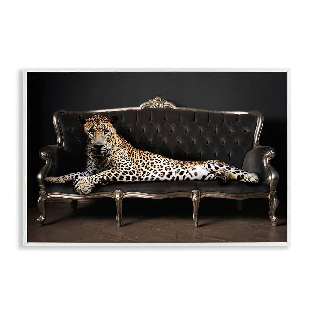 Cheetah Sprawled on Couch by Reinders 1-Piece White Framed Animal Giclee Art Print 12 in. x 18 in. price history on PriceWatchPro