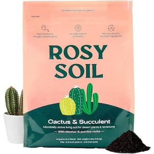4 qt. Cactus and Succulent Potting Mix: Microbially Active Living Soil for Desert Plants and Terrariums