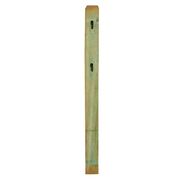 Unbranded 4 in. x 4 in. x 5-1/3 ft. Pressure-Treated Pine 2-Hole Fence End Post
