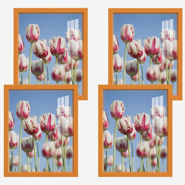 Wexford Home Modern 11 in. x 14 in. Orange Picture Frame (Set of 4)
