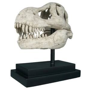 22.5 in. H T-Rex Dinosaur Skull Fossil Tabletop Statue on Museum Mount