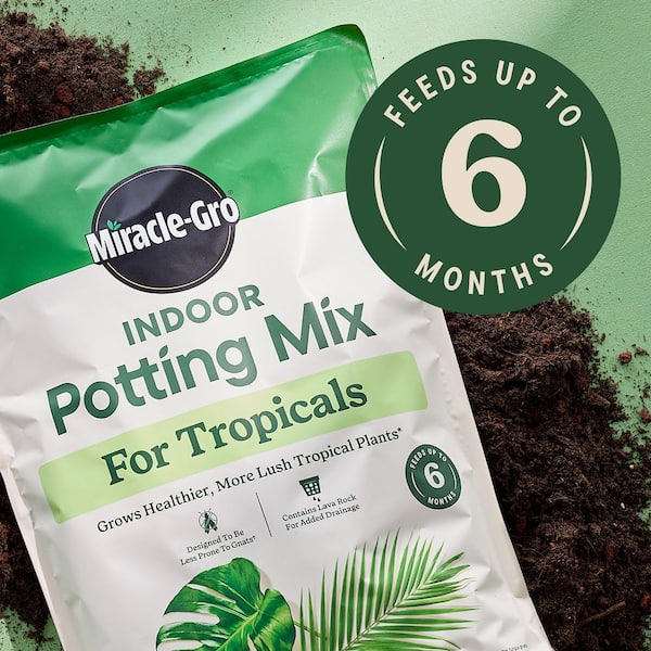Miracle-Gro Indoor Potting Mix for Tropicals 6 qt. Soil For Indoor  Container Plants, Use with Monstera, Pothos, Fiddle Leaf Fig 73876430
