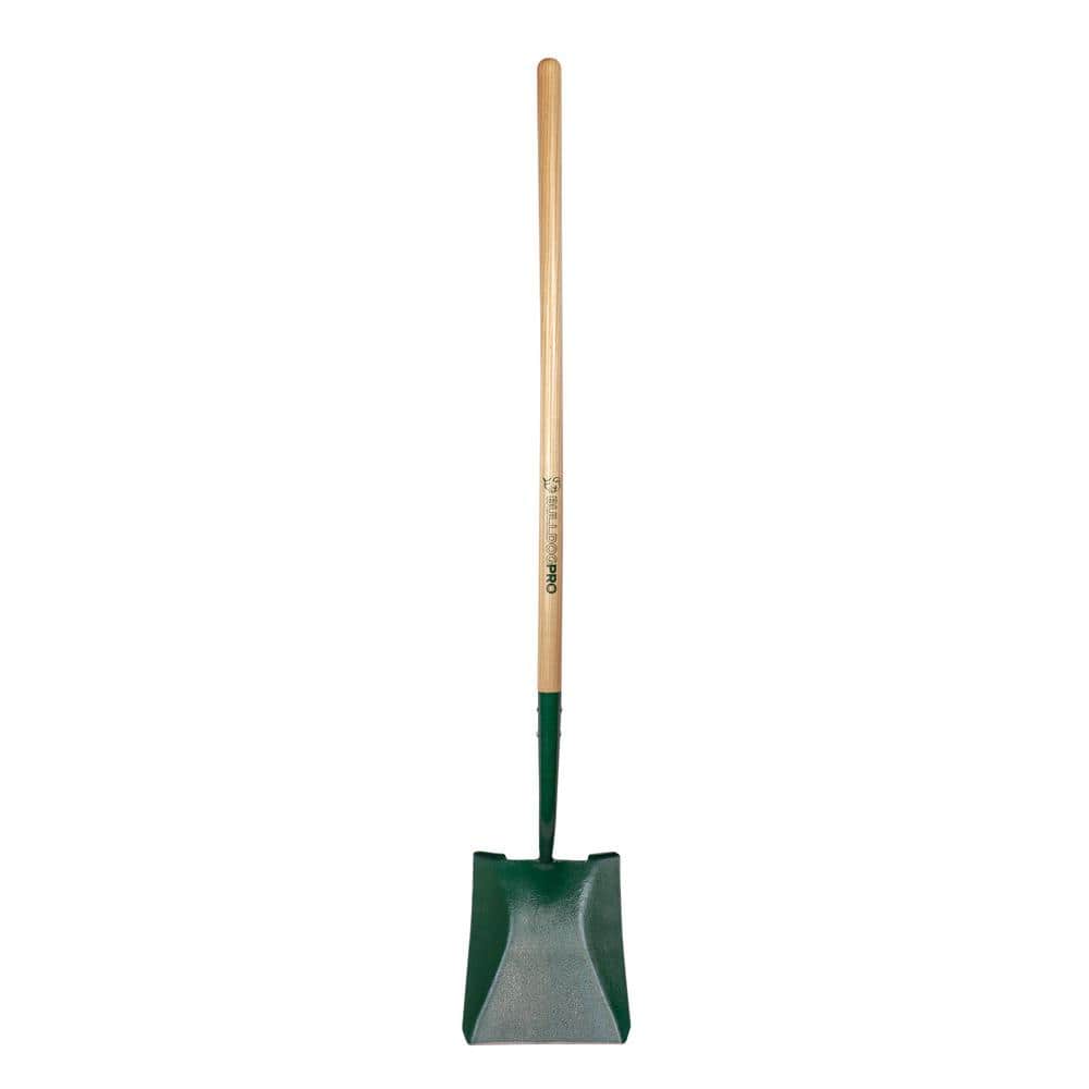 48 in. Forged Steel Transfer Shovel with Wood Handle