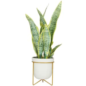 Goplus Fake Snake Plant, 36 Tall Artificial Potted Floor Plant, Large Faux  Sansevieria Plant with 6'' Pot and 20pcs Leaves for Living Room House