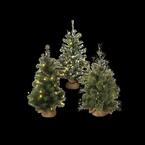 24 in. H Battery Operated Lighted Pine Trees (Set of 3)