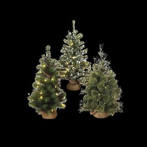 24 in. H Battery Operated Lighted Pine Trees (Set of 3)