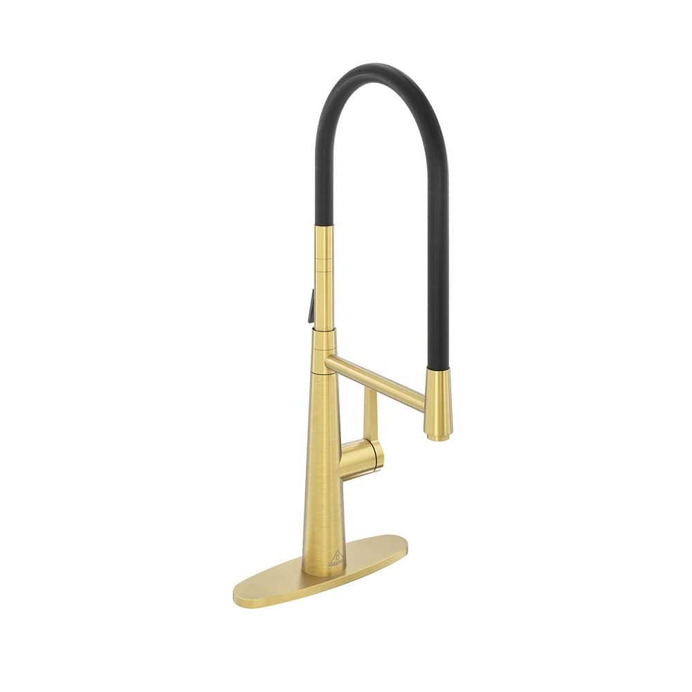 CASAINC Single-Handle Standard Kitchen Faucet with FastMount and Deckplate Included in Brushed Gold