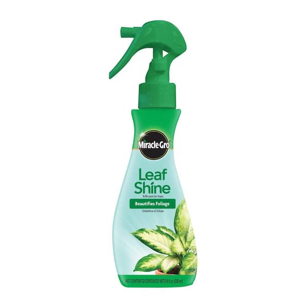 Miracle-Gro 8 fl. oz. Leaf Shine Spray Cleans Hard-Leaved Foliage Plants  (2-Pack) VB21055 - The Home Depot