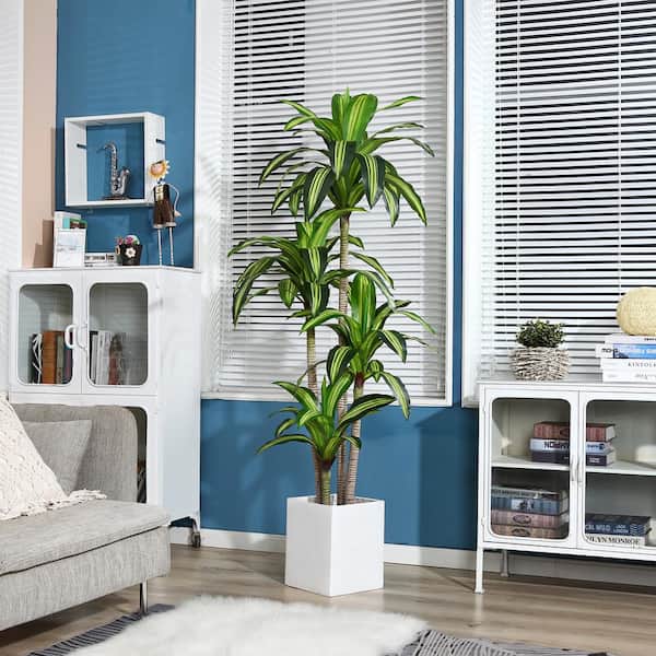 eucalyptus plant indoors Potted 5' Eucalyptus Tree main image 1